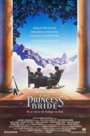 VER La princesa prometida (1987) Online Gratis HD