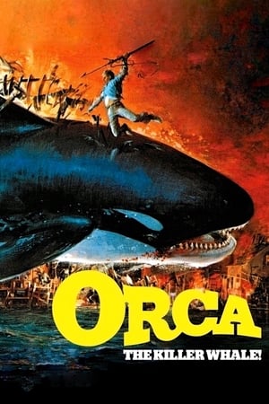 VER Orca, la ballena asesina (1977) Online Gratis HD