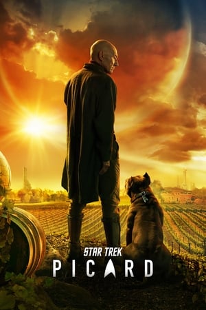 VER Star Trek: Picard (2020) S1E10 Online Gratis HD